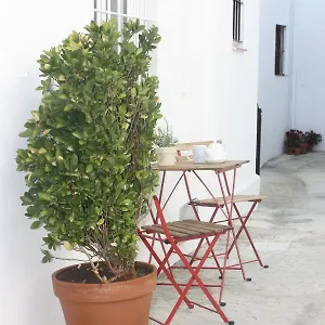 la-casa-del-patio.es-andalucia.com/